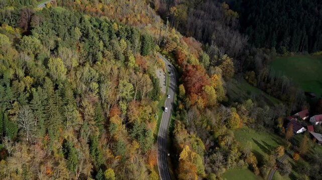 Aerial view of autumn trees on a sunny day in the Black Forest, Baar, Heuberg, Baden-W&uuml;rttemberg, Germany
