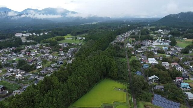 歴史をつなぐ杉並木の道
江戸時代に重要な役割を果たしたこの脇街道は、京都から日光東照宮へ向かう勅使が通っていたことをご存知でしたか？どのような人々がこの道を行き交い、どんな思いを抱いていたのでしょうか？