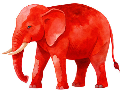 A red eliphant isolated on white background representing republican party 