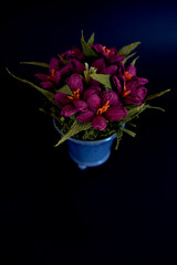 paper flowers in a blue vase on a black background