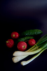 the first spring vegetables on a black background, green onion, radish, cucumber