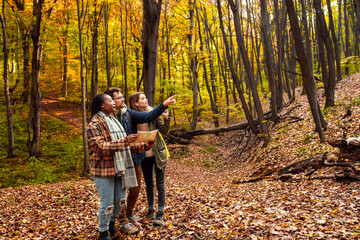 Fototapeta premium Three friends having fun and enjoying hiking in forest using map for direction.