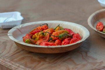 Naga Chilli, It is one of the hottest known chilli peppers. Satakha village, Nagaland, India