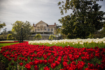 Traditional best photo from Turkey