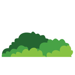 Green bush on white background. Vector illustration