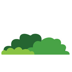 Obraz premium Green bush on white background. Vector illustration