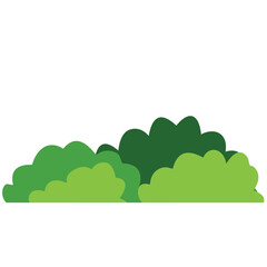 Green bush on white background. Vector illustration