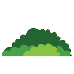 Green bush on white background. Vector illustration