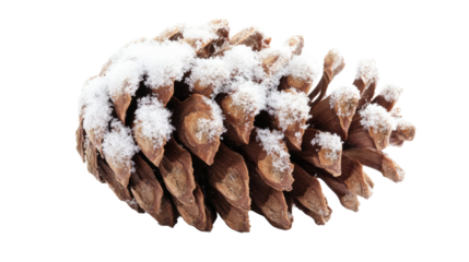cone with snow on a white transparent background