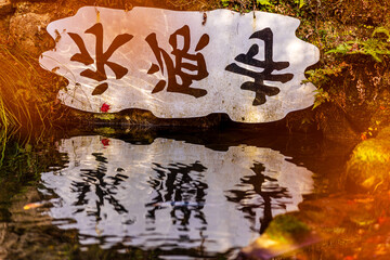 Fototapete bei efototapeten.de bestellen   