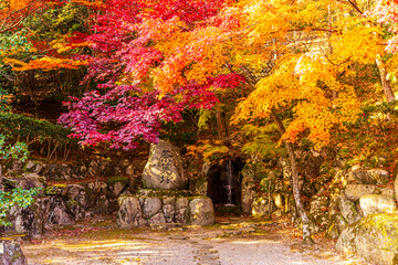滋賀県　永源寺の紅葉
