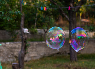 Soap bubbles in yard