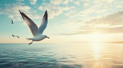 Obraz premium Seagull Soaring Through Golden Sunset