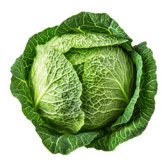 Fresh Green Cabbage with Detailed Texture | Isolated on Transparent  Background