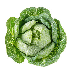 Fototapeta premium Fresh Green Cabbage with Detailed Texture | Isolated on Transparent Background