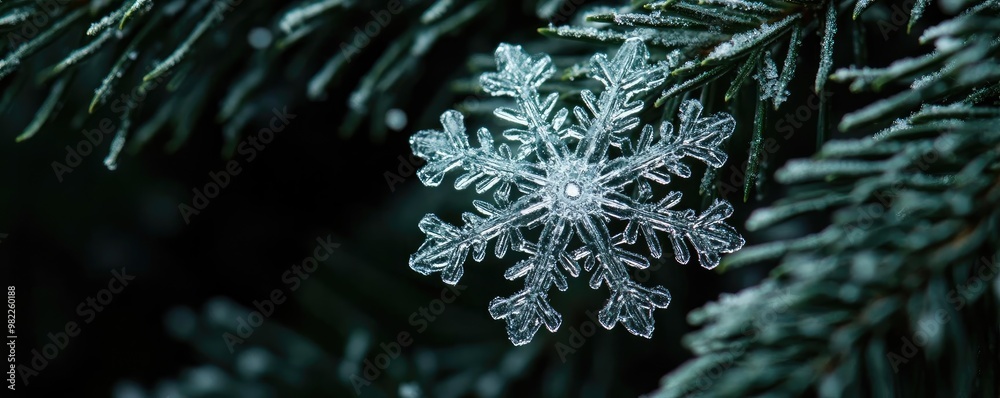 Aufkleber A close-up of a delicate snowflake resting on evergreen branches, showcasing intricate patterns and winter beauty.