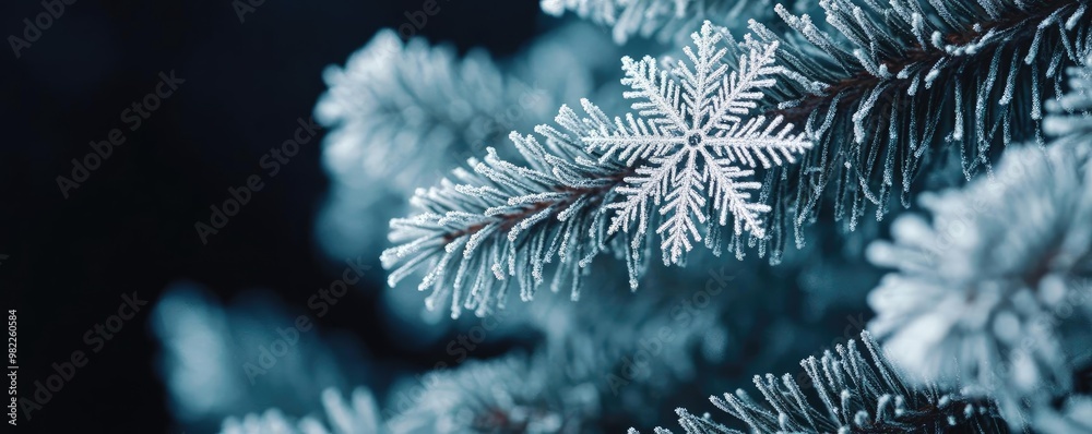 Poster Delicate snowflakes adorn a pine branch, creating a serene winter atmosphere with a touch of frostiness and elegance.