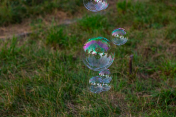 Soap bubbles in yard