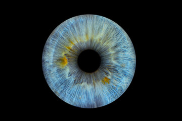 Close up of eye iris on black background, macro, photography	