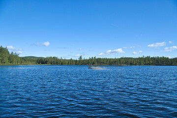 Lake in sweden with blue sky and white clouds in front of blue water. Trees shore