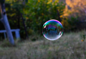 Soap bubbles in yard