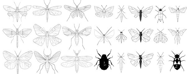 Polygon set of abstract animals. Dragonfly, butterfly, beetle in linear geometric shapes. Modern illustration.