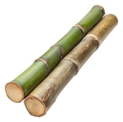 PNG Bright light on green and dry bamboo