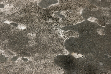 footprint on the sand