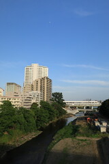 Fototapeta premium 多摩川の河川敷から見る二子玉川駅周辺の風景