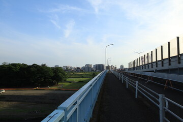 Fototapeta premium 多摩川の河川敷から見る二子玉川駅周辺の風景