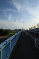 Fototapeta premium 多摩川の河川敷から見る二子玉川駅周辺の風景