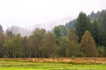 Fototapeta premium Prairies d'altitude dans les Vosges et forêt au milieu des brumes en automne