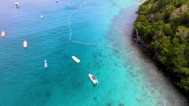 Motorboats Anchored Along the Shoreline in Emerald Waters