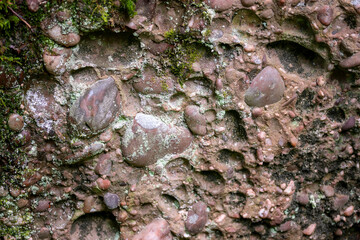 Texture de roches de grès en conglomérat en très gros plan 