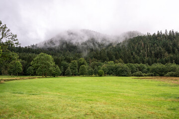 Champ vert au pied de la forêt et de la montagne des Vosges au milieu des brumes et des nuages