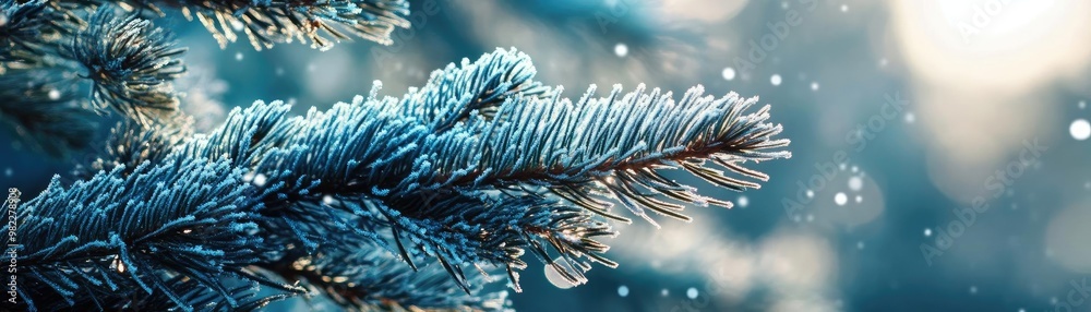 Poster a close-up of a snow-covered evergreen branch with glistening frost and soft winter light, creating 