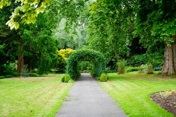 Plants on a covered walkway 