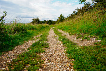 Low angle view down a footpath in the countryside 