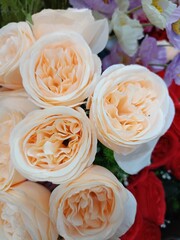 Orange rose soft petals in shop flowers Thailand 