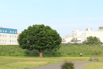 二子玉川駅周辺にある多摩川の河川敷にあるグランドの風景