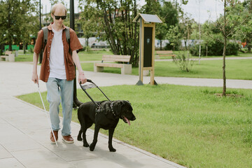 Black Labrador leading his Caucasian male owner with disability in verdant park
