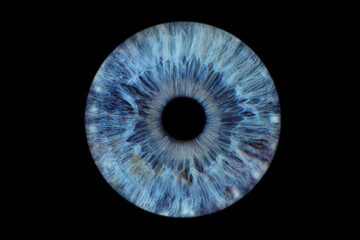 Close up of eye iris on black background, macro, photography	