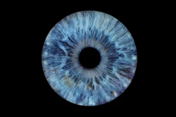 Gordijnen Close up of eye iris on black background, macro, photography  © recep