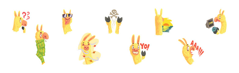 Cute Llama Character Head Emotion and Pose Vector Set