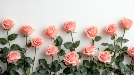 Elegant Pink Roses Against a Soft Background