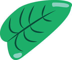 Naklejka premium Plant Banana Leaf Icon. Flat Vector Clipart.