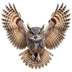 Obraz premium Great Horned Owl with Spread Wings Isolated on White Background, Owl, Bird, Wildlife, Feather