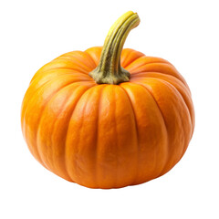 Fototapeta premium Single Orange Pumpkin Isolated on White Background, pumpkin , gourd , autumn , fall