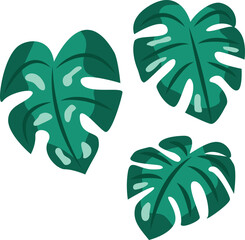 Tropical Monstera Leaf Design Element.