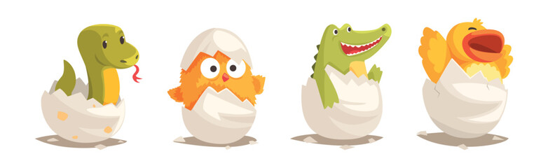 Chicks and Reptiles Hatch from Cracked Egg Shell Vector Set